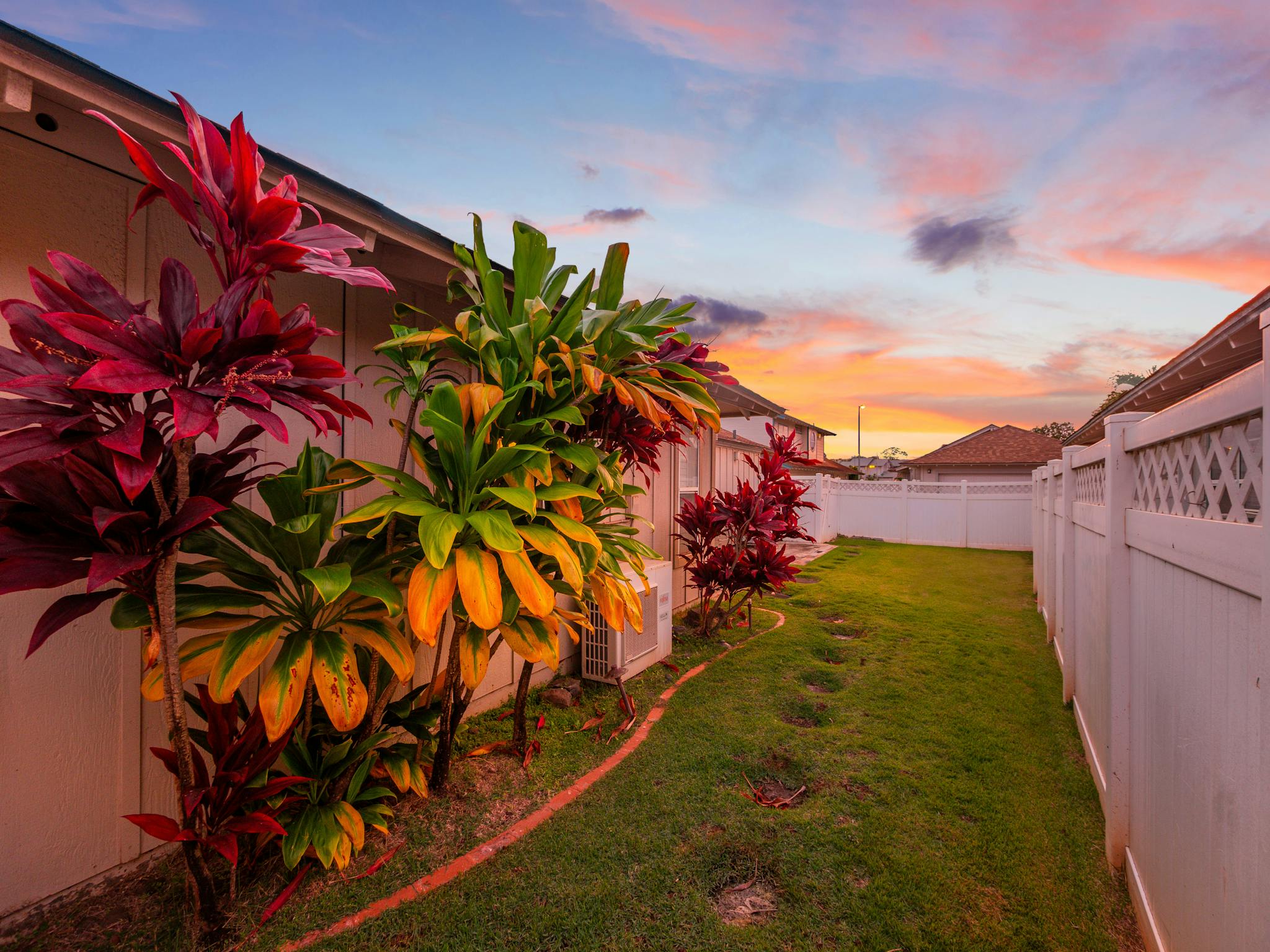 Colorful backyard landscape with tropical plants against a sunset sky.